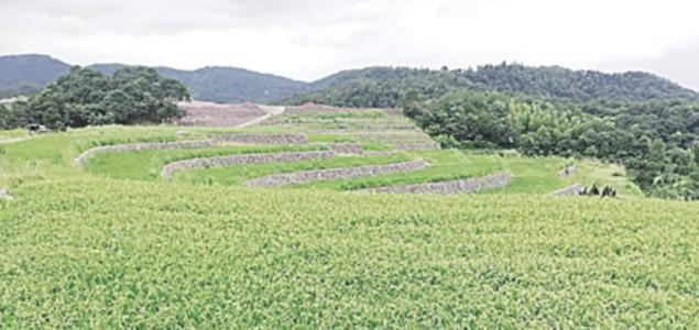 水利部办公厅关于进一步优化开发区内生产建设项目水土保持管理工作的意见