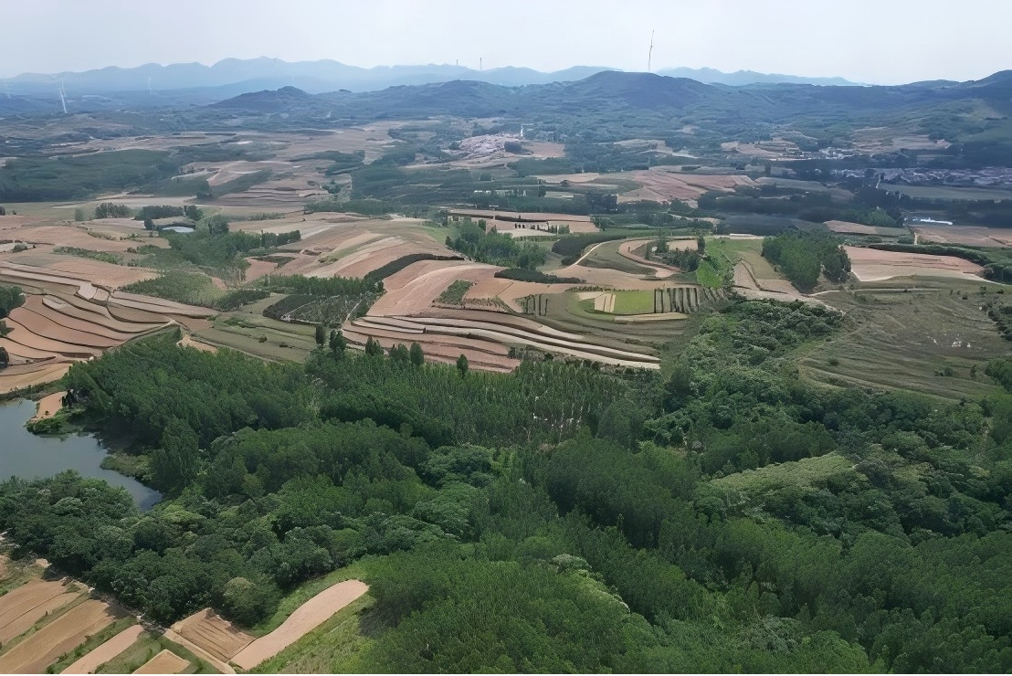 《华能潍坊诸城市“千乡万村驭风行动”60兆瓦风电项目》水土保持方案顺利通过专家评审
