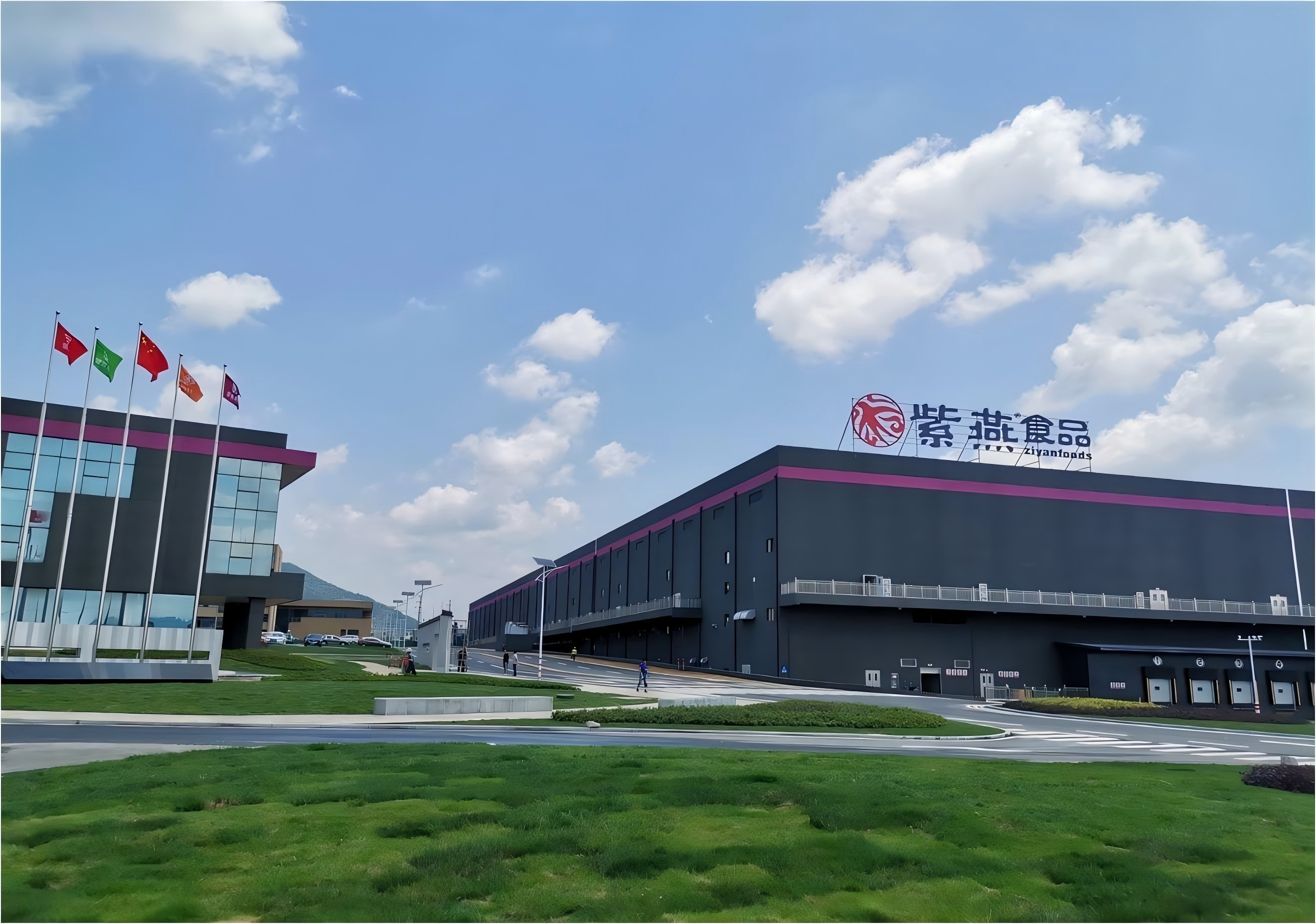 山东紫燕食品水平衡测试技术服务